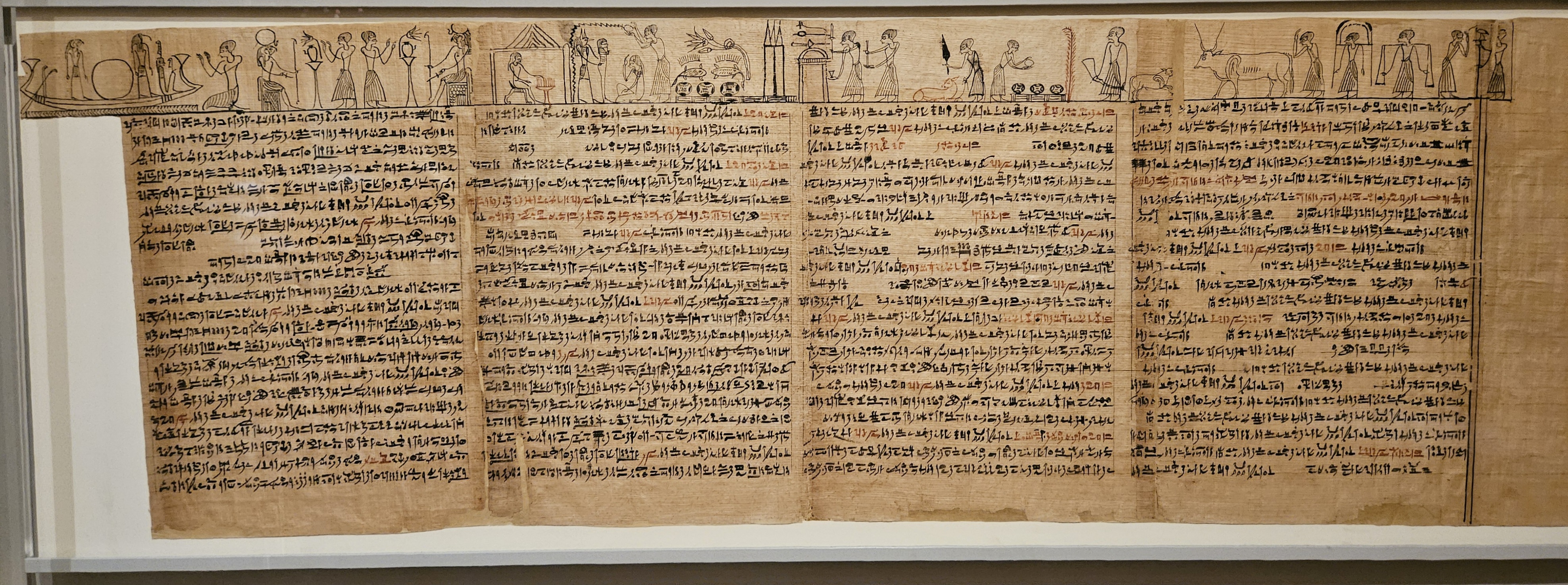 Four sheets of papyrus joined to make a single scroll, with writing in hieratic in the body of the page and illustrations along the top.